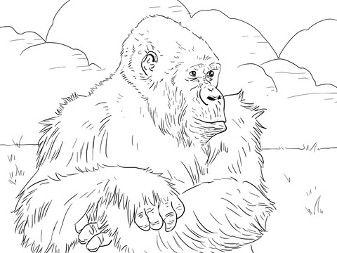 Mountain Gorilla Coloring Page